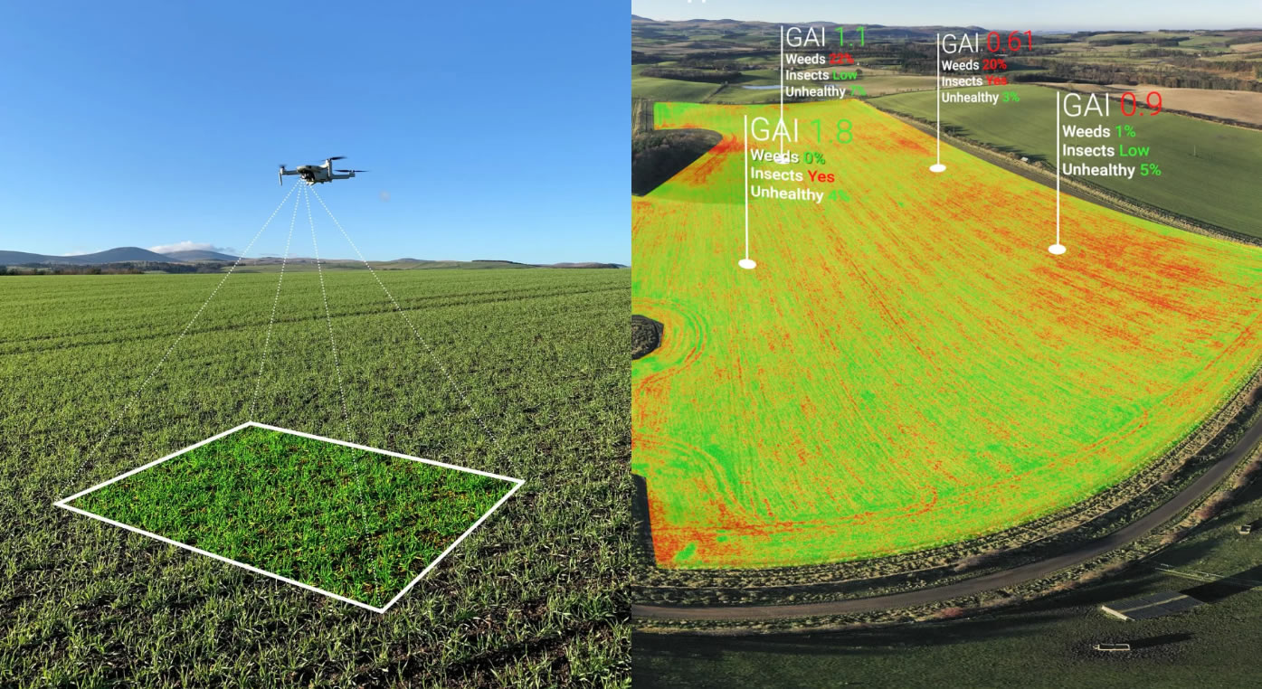 MAVIC 3 MULTIESPECTRAL